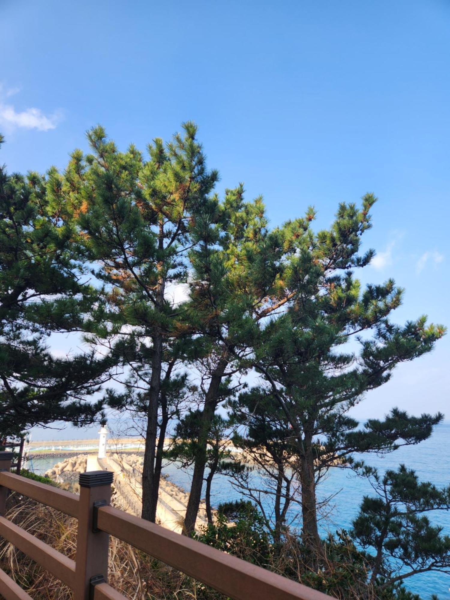 Bada Village Minbak Jeju Exterior photo